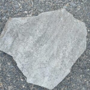 Portage Allegheny