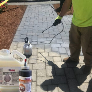 paver saver plus